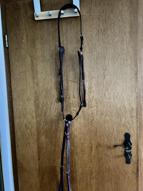 Collier de chasse GBS
