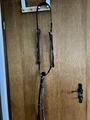 Collier de chasse GBS