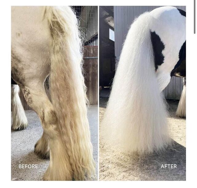 savon pour chevaux gris