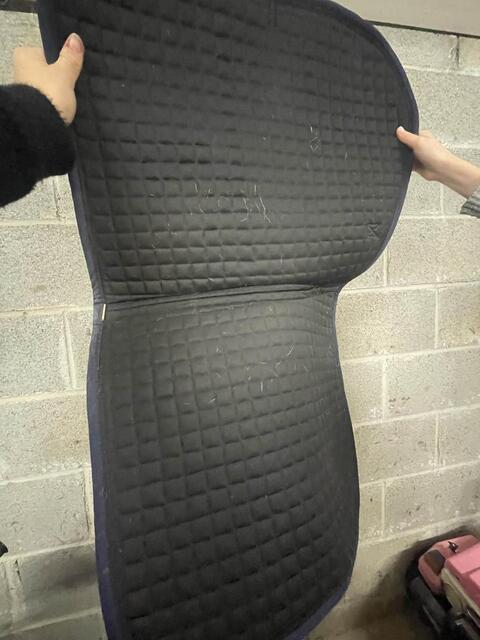 tapis equitème bleu