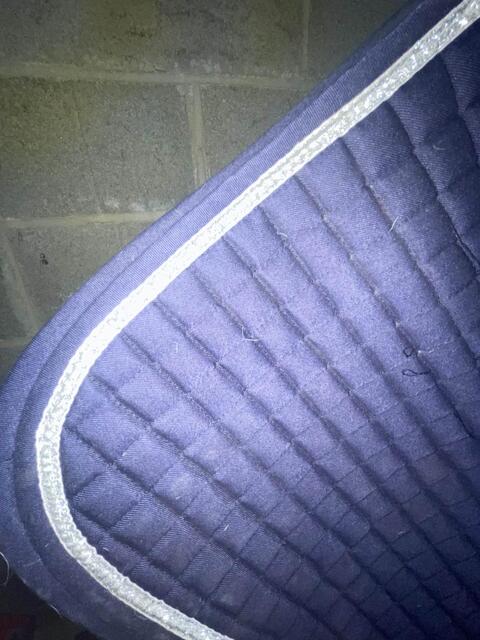 tapis equitème bleu