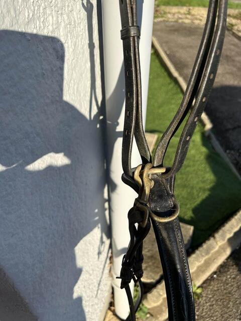 collier de chasse