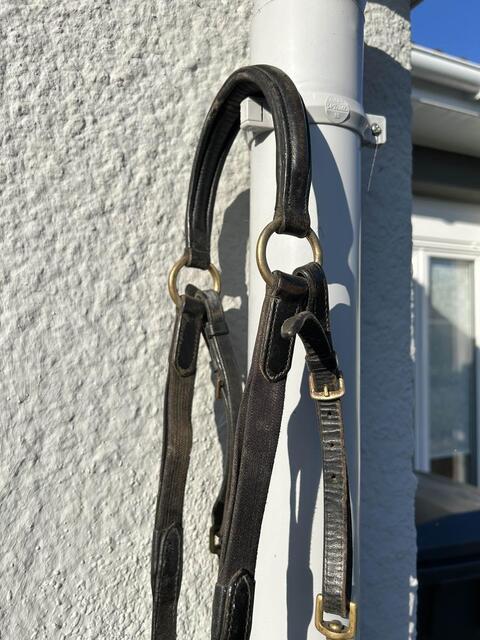 collier de chasse
