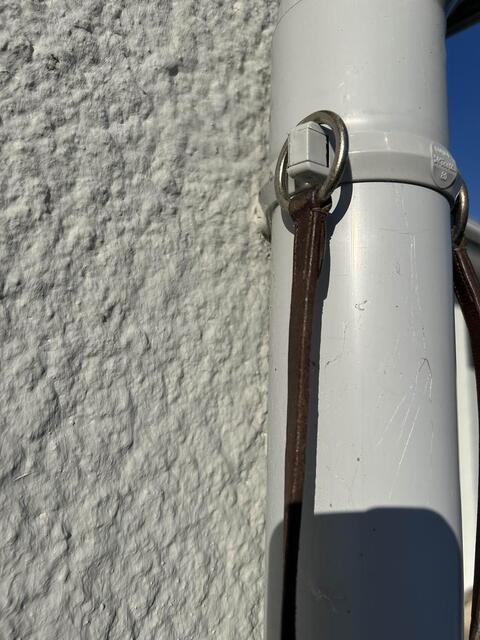 anneau Martingale