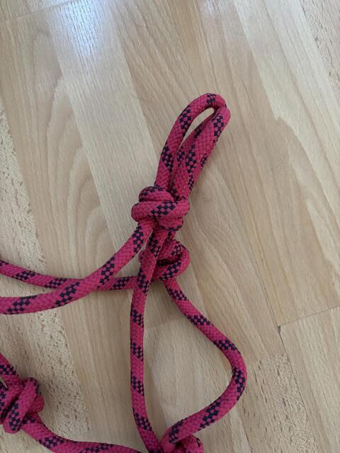 Licol en corde rose