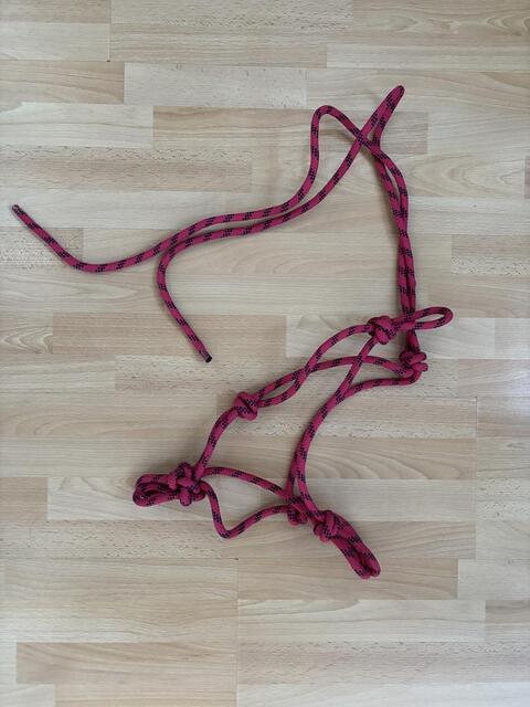 Licol en corde rose