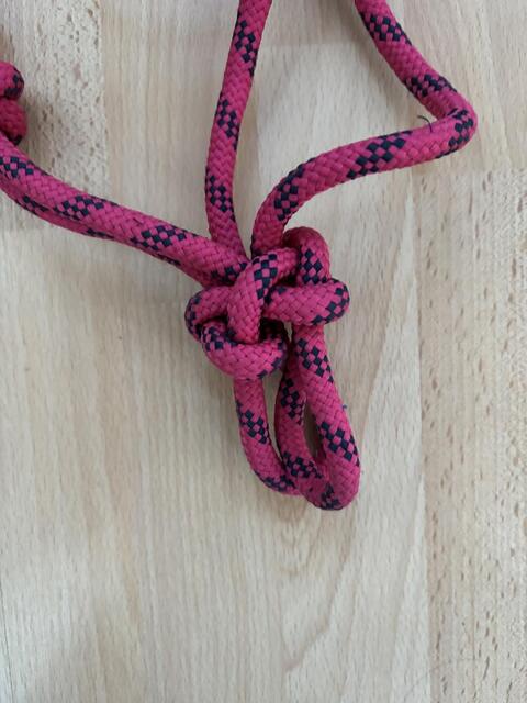 Licol en corde rose