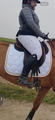 tapis dressage blanc