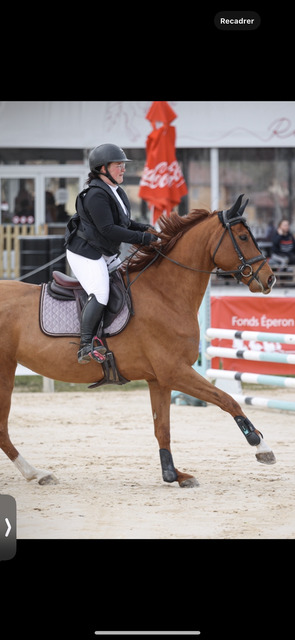 tapis Anna scarpati Lila