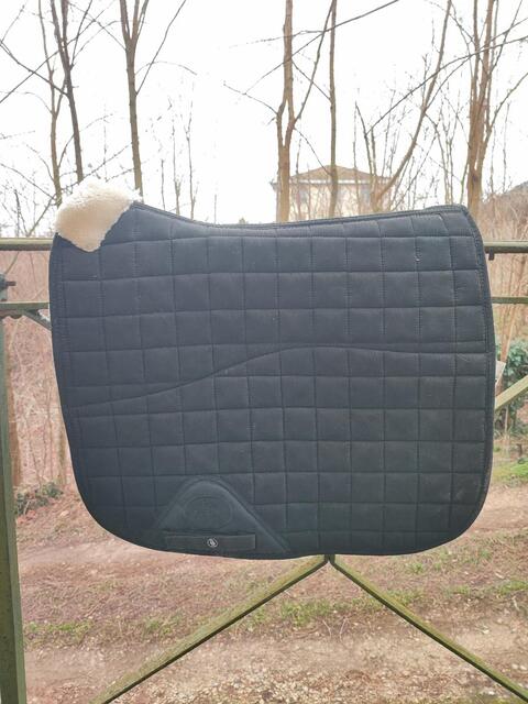 Tapis de dressage BR