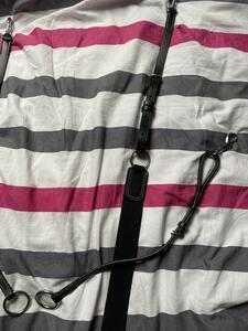 collier de chasse + martingale
