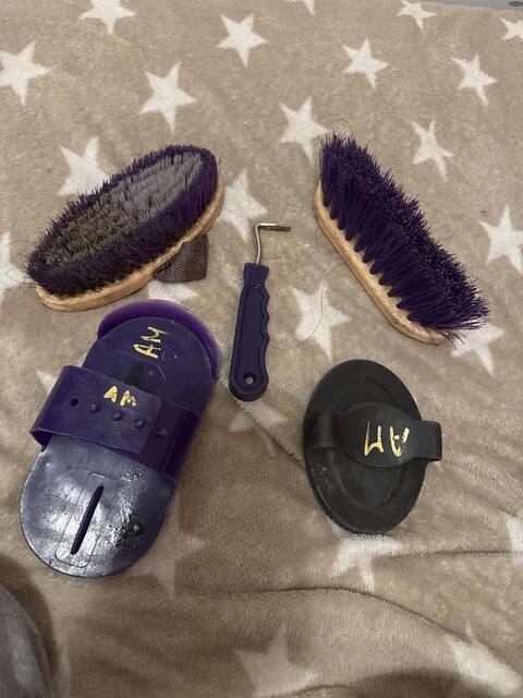 Brosse équitation