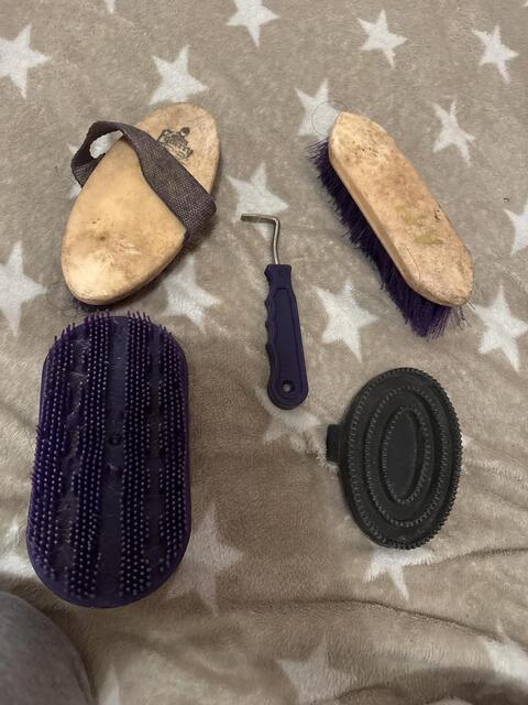 Brosse équitation