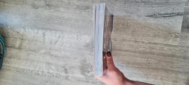 Livre guide pratique de l'ASV