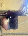 Selle courtois de maleville