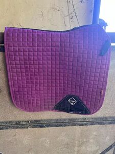 Tapis Lemieux dressage