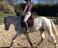 Tapis Lemieux dressage