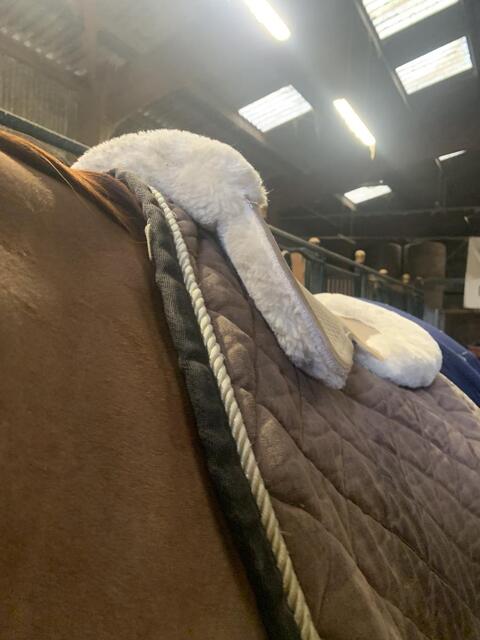 Amortisseur gel / mouton