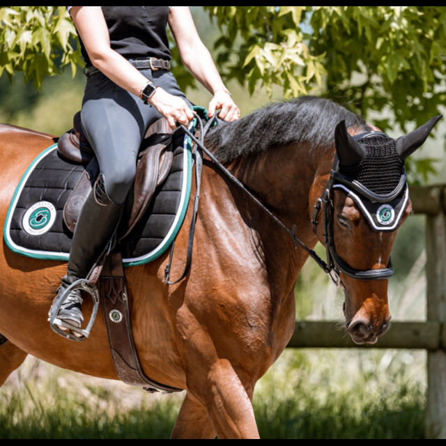 Ensemble tapis et bonnet forestier
