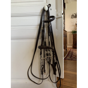 Bride Taille Cheval Eric Thomas Havane