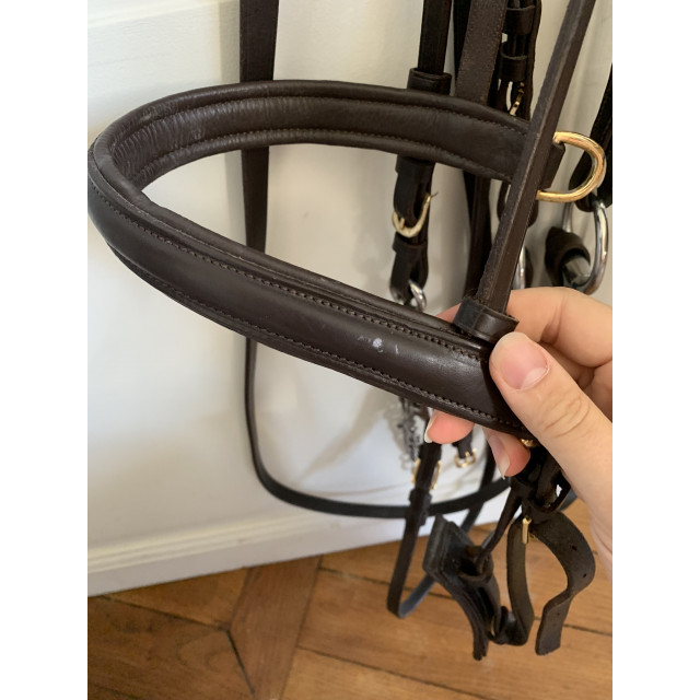 Bride Taille Cheval Eric Thomas Havane