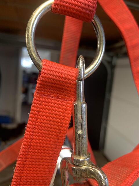 licol rouge avec etoile