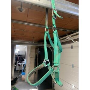 licol vert