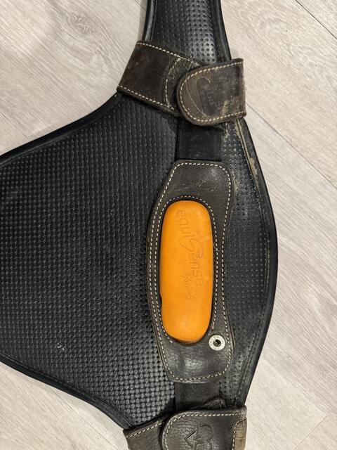 Bavette Bucas et support equisense