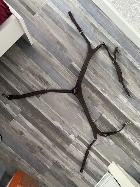 Collier de chasse 5 points Fouganza
