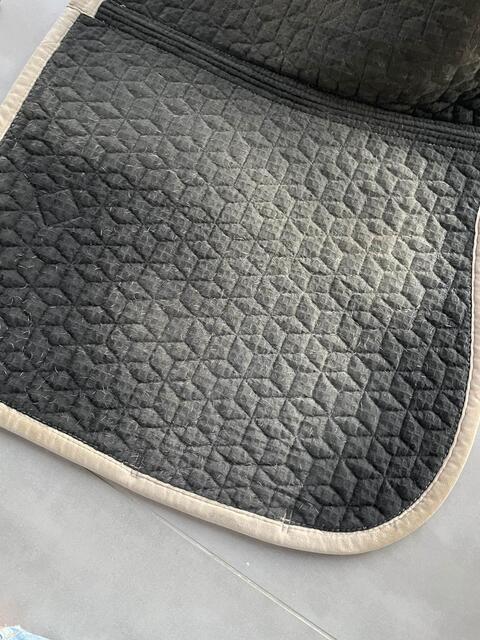 Tapis kentucky
