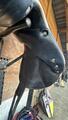 Selle antares