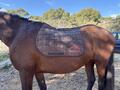 tapis veredus noir et rouge