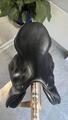 selle childeric