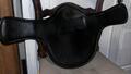 sangle bavette équipe noire 55cm