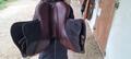 Selle CWD