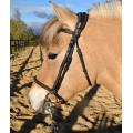 Bridon CWD anatomique noir