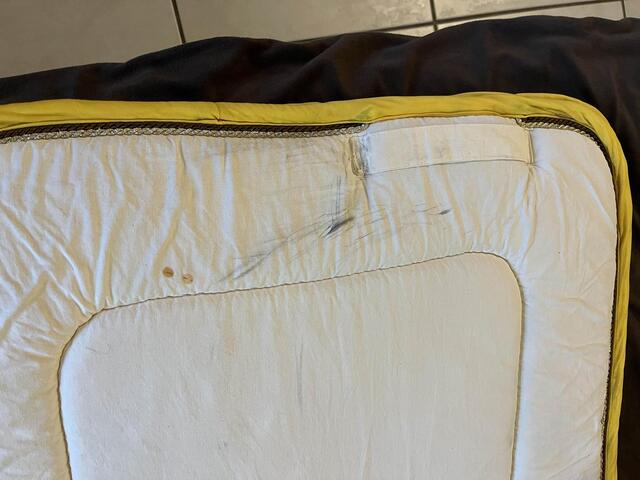 tapis dressage beige/blanc cassé Création Ttel