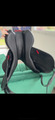 Selle BOECKELO forestier 17,5
