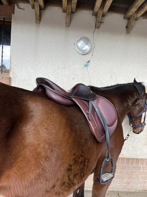 selle devoucoux
