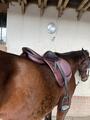 selle devoucoux