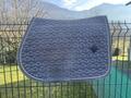 Tapis Kentucky