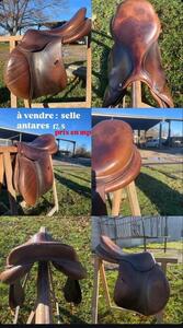 selle Antares