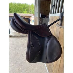 Selle Arion