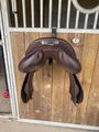 Selle Arion