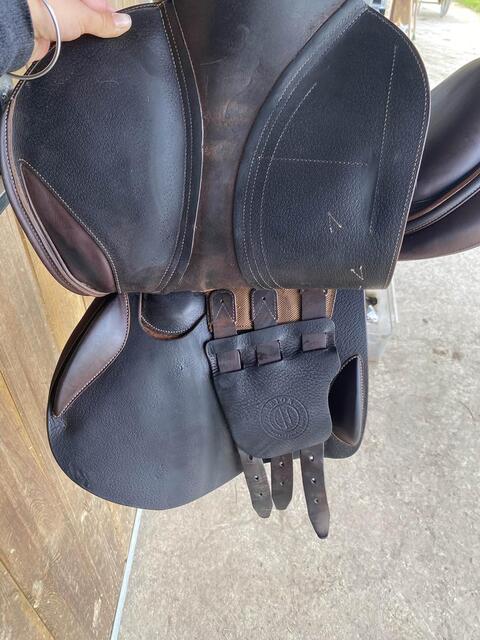 Selle Arion