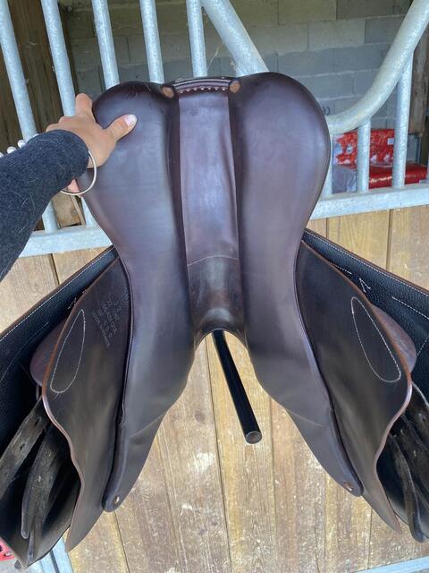 Selle Arion