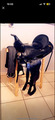 Magnifique selle western noir
