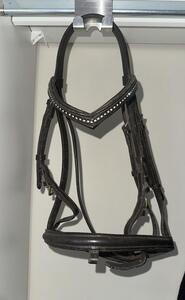Bridon havane avec strass