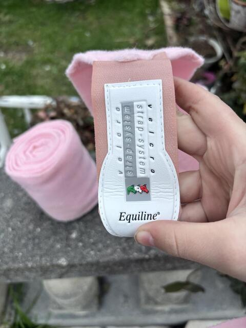 Bande de polo equiline