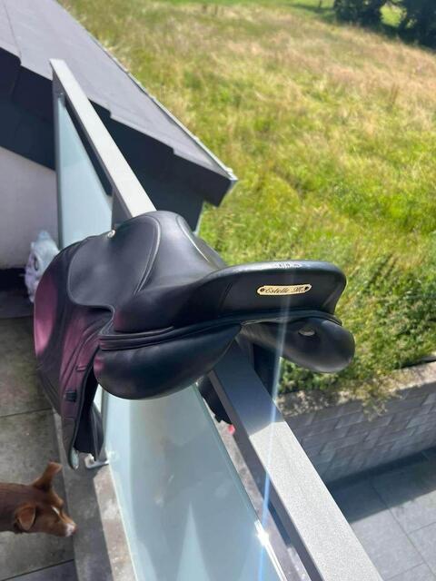 Selle CWD